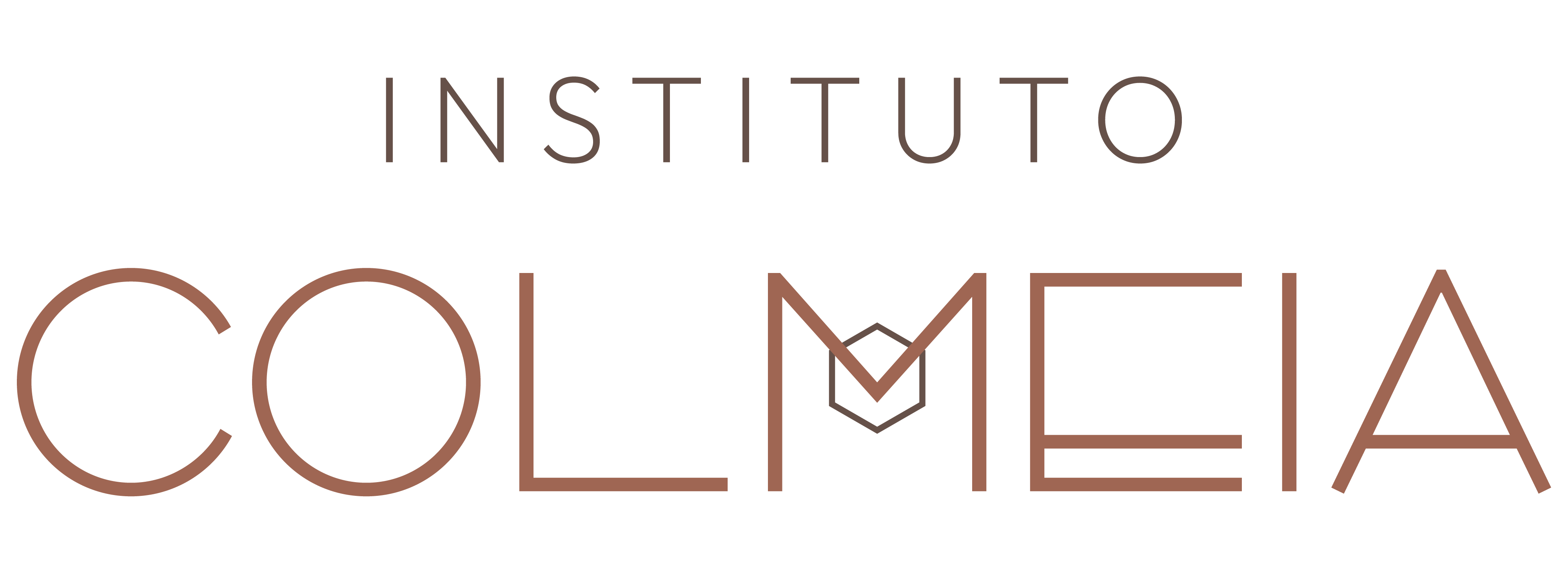 Instituto Colmeia